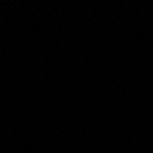 Meet your Posher, Allyson